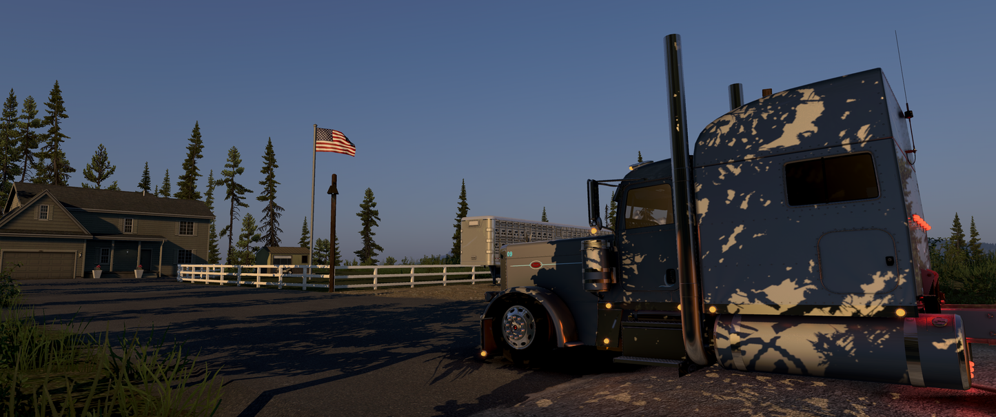 Collection Pack 1 - BEST VALUE